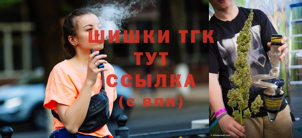 дживик Баксан