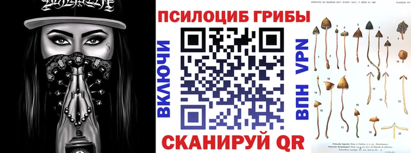 Галлюциногенные грибы Psilocybe как найти наркотики Лосино-Петровский